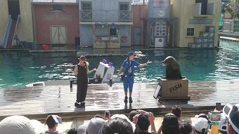 シーワールド　アシカ e.jpg