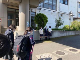 MicrosoftTeams-image (22).jpg